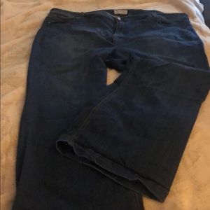 Size 28 Molly and Isadora Jeans